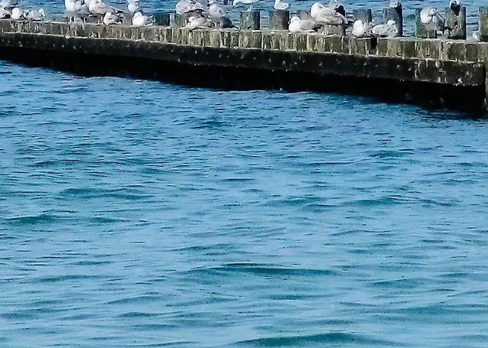 Tyfami - Dom 3 Casa vacanze Jarosławiec