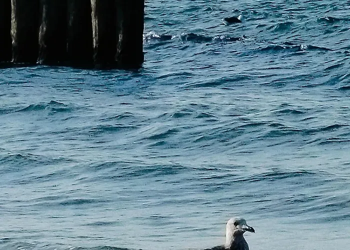 Tyfami - Dom 3 Jarosławiec